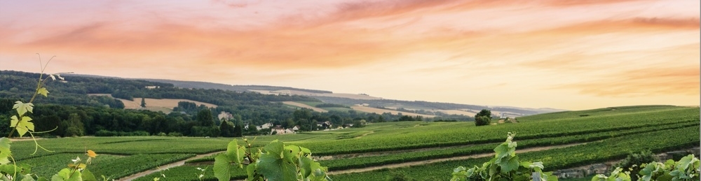 Habitbois bannière