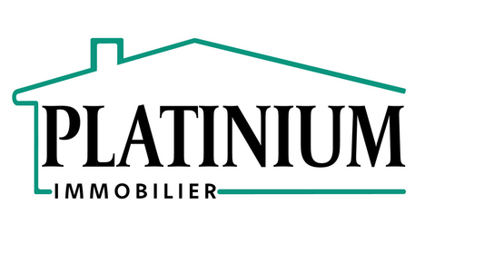 Platinium Immobilier bannière