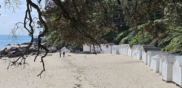 Les Dunes bannière