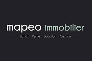 Mapeo immobilier 