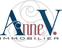 Anne V Immobilier