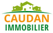 Caudan Immobilier