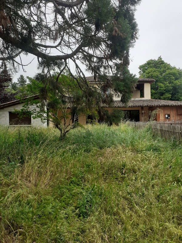 Maison à MOISSAC