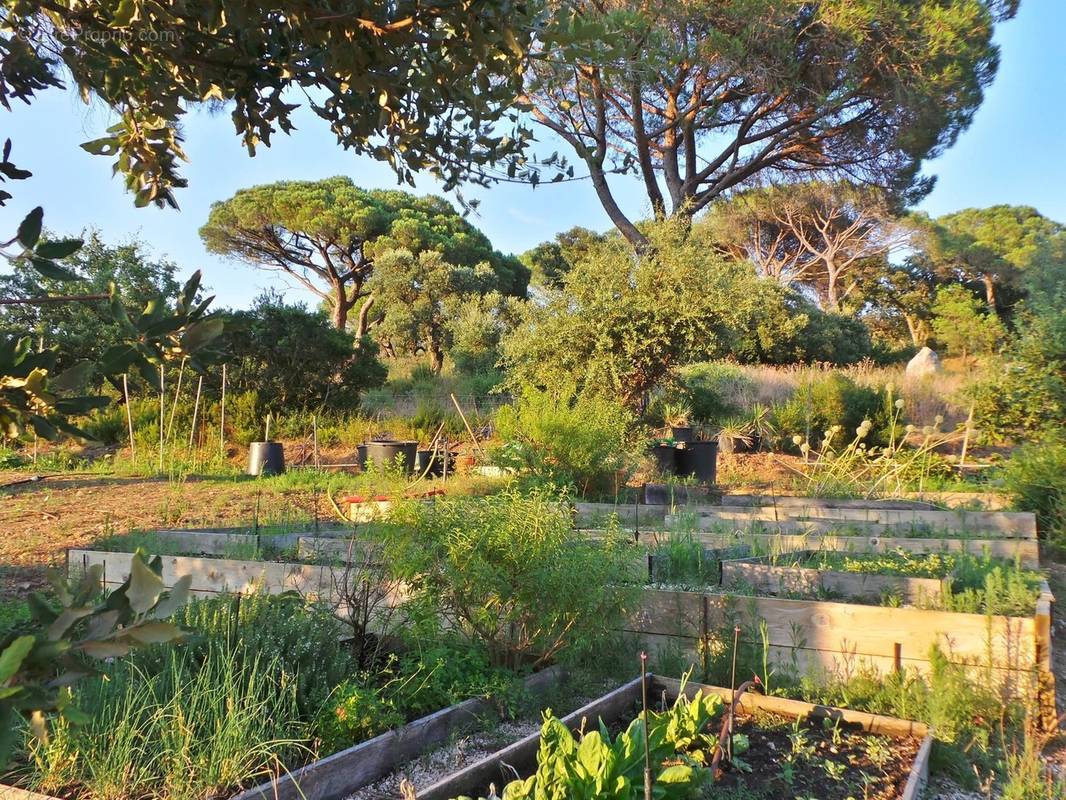 Terrain à RAMATUELLE