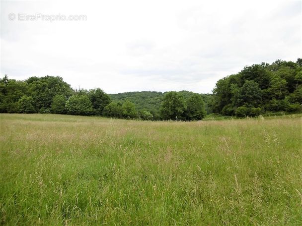 Terrain à VIGNOLS