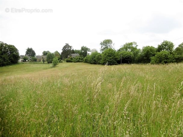 Terrain à VIGNOLS