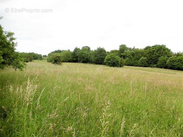 Terrain à VIGNOLS