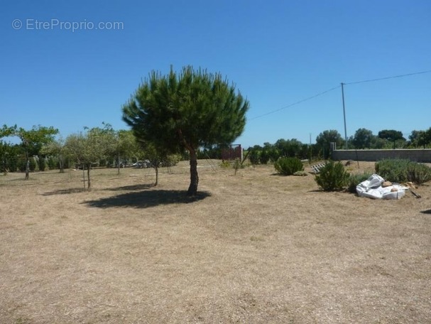 Terrain à SERIGNAN