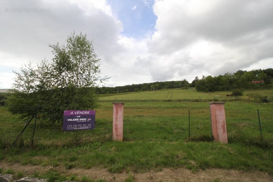 Terrain à LIGNY-EN-BARROIS