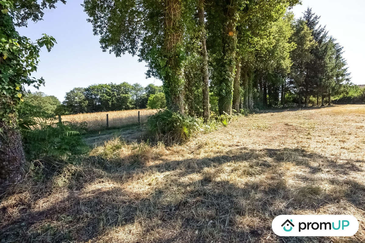 Terrain à SAINT-MAURICE-LA-SOUTERRAINE