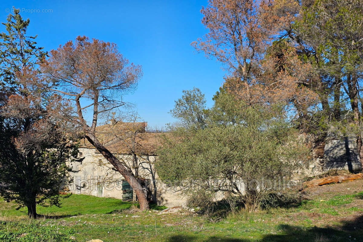 Maison à SAINT-REMY-DE-PROVENCE