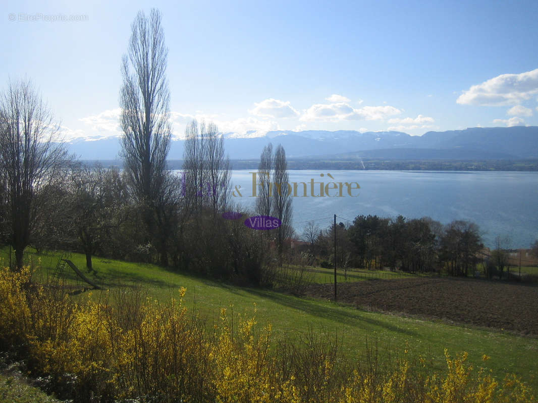 Maison à CHENS-SUR-LEMAN