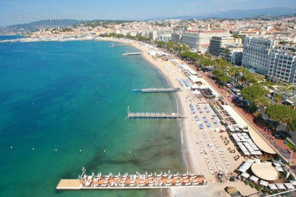 Autre à CANNES