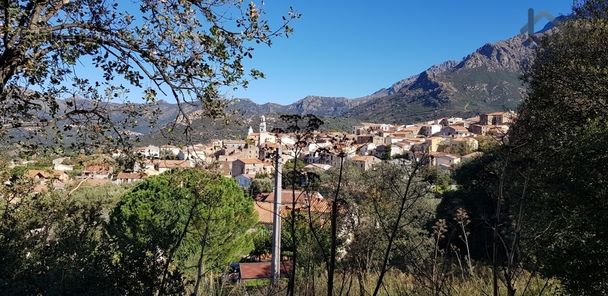 Terrain à CALENZANA