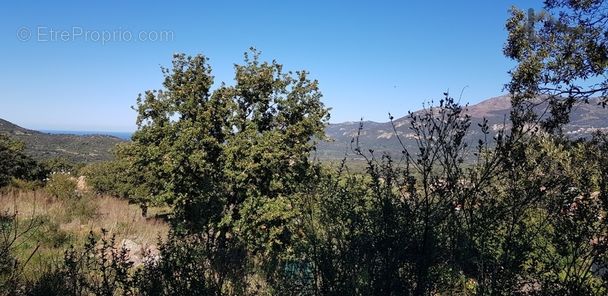 Terrain à CALENZANA