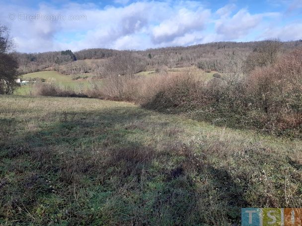 Terrain à LALOURET-LAFFITEAU