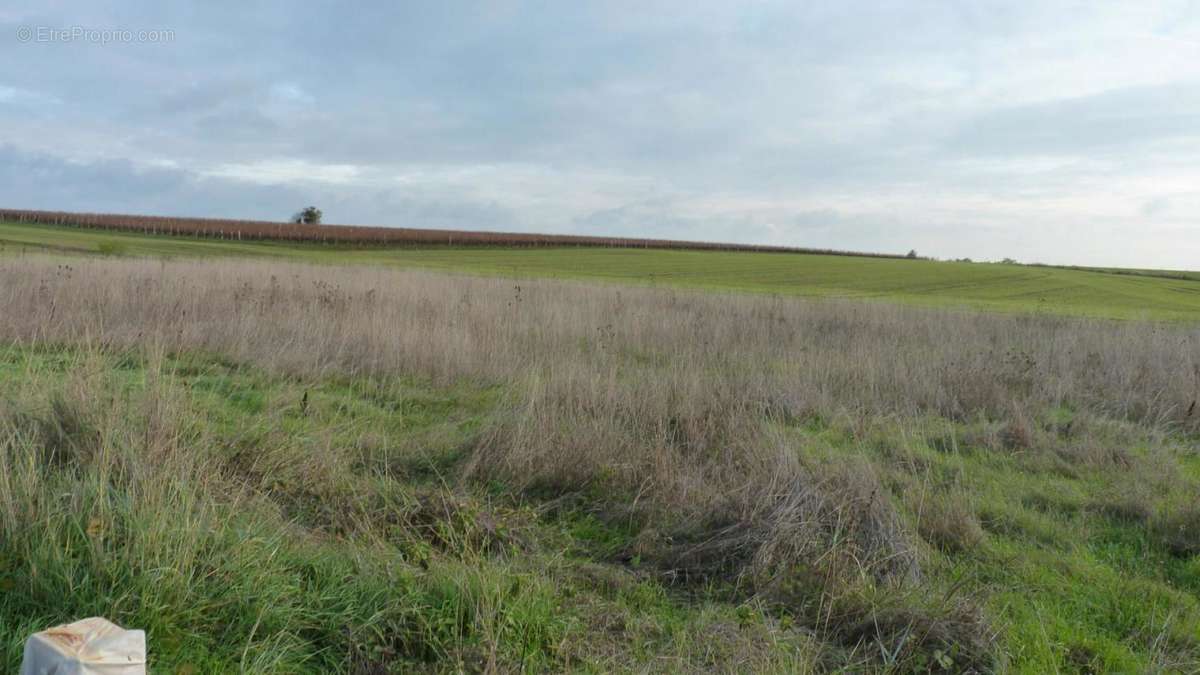 Terrain - Terrain à SAINT-JEAN-D&#039;ANGELY