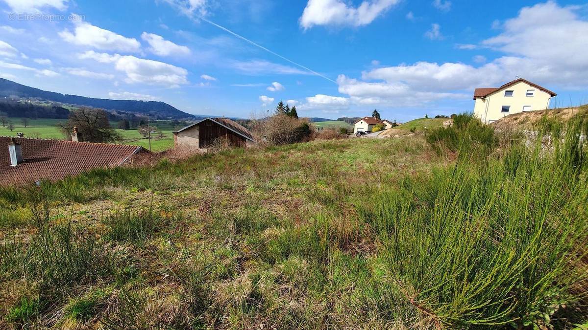 Photo 1 - Terrain à LEPANGES-SUR-VOLOGNE