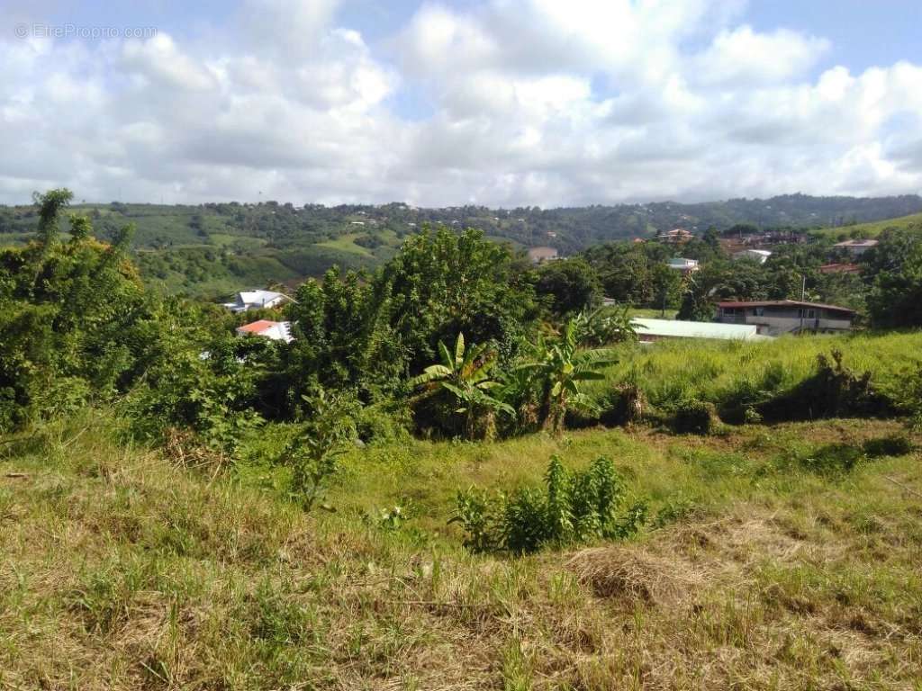 Terrain à LE MARIGOT