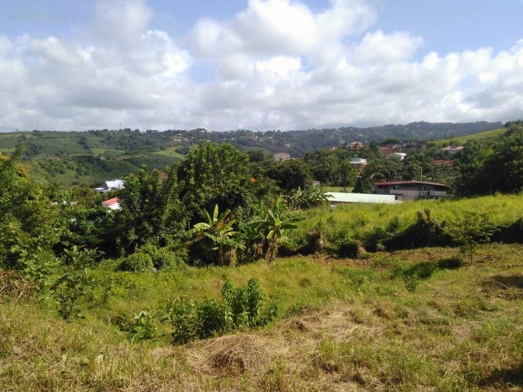 Terrain à LE MARIGOT