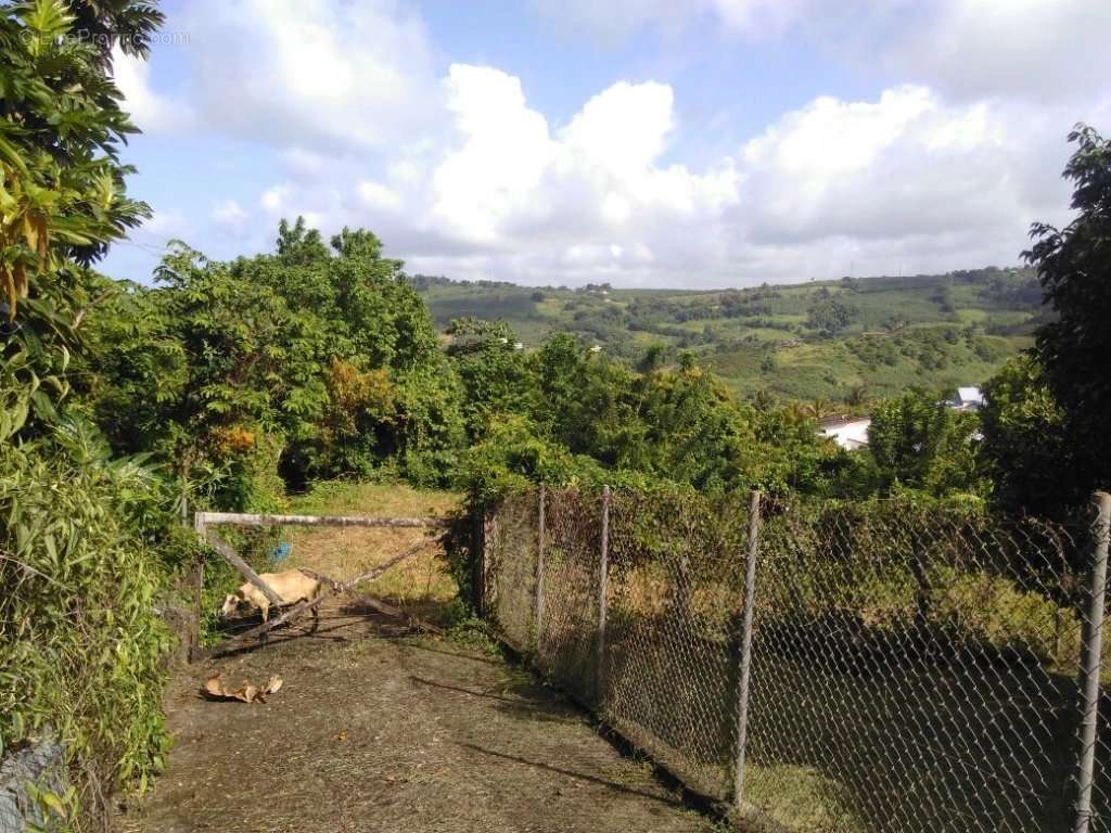 Terrain à LE MARIGOT