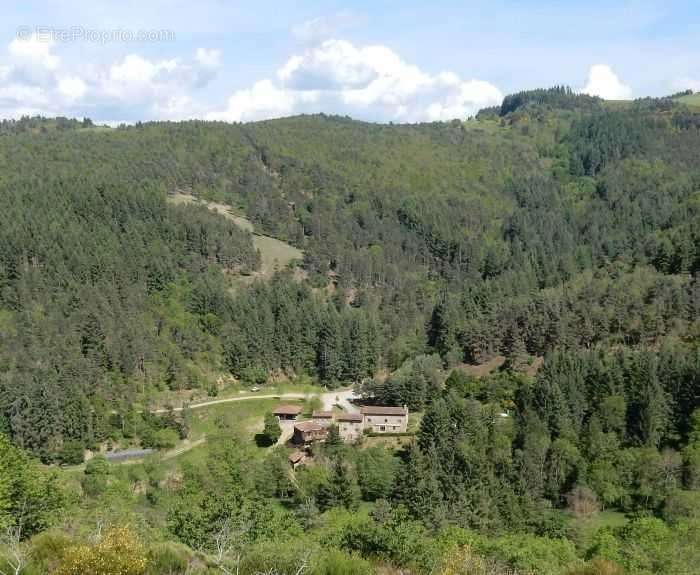 Maison à VIEILLE-BRIOUDE