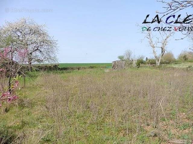 Terrain à COULONGES-SUR-L&#039;AUTIZE