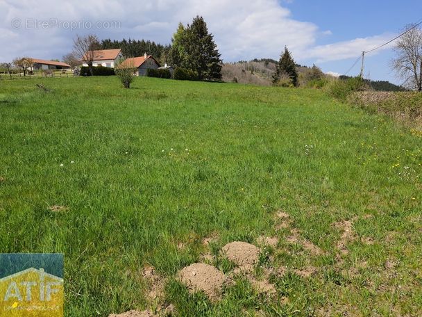 Terrain à SAINT-MARTIN-LA-SAUVETE