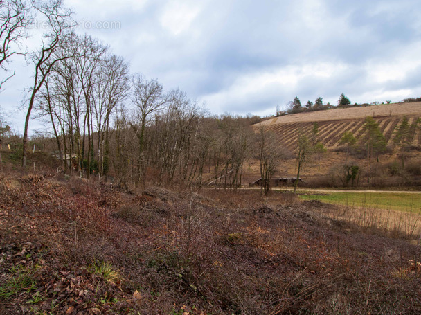 Terrain à TRELISSAC