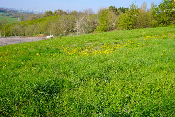 Terrain à SAINT-REMY