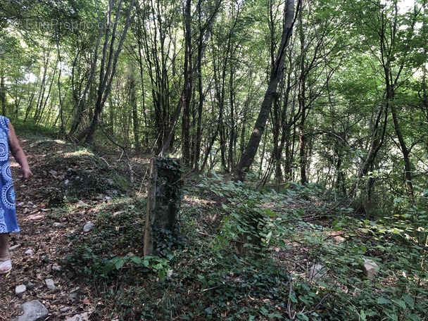 Terrain à BREIL-SUR-ROYA