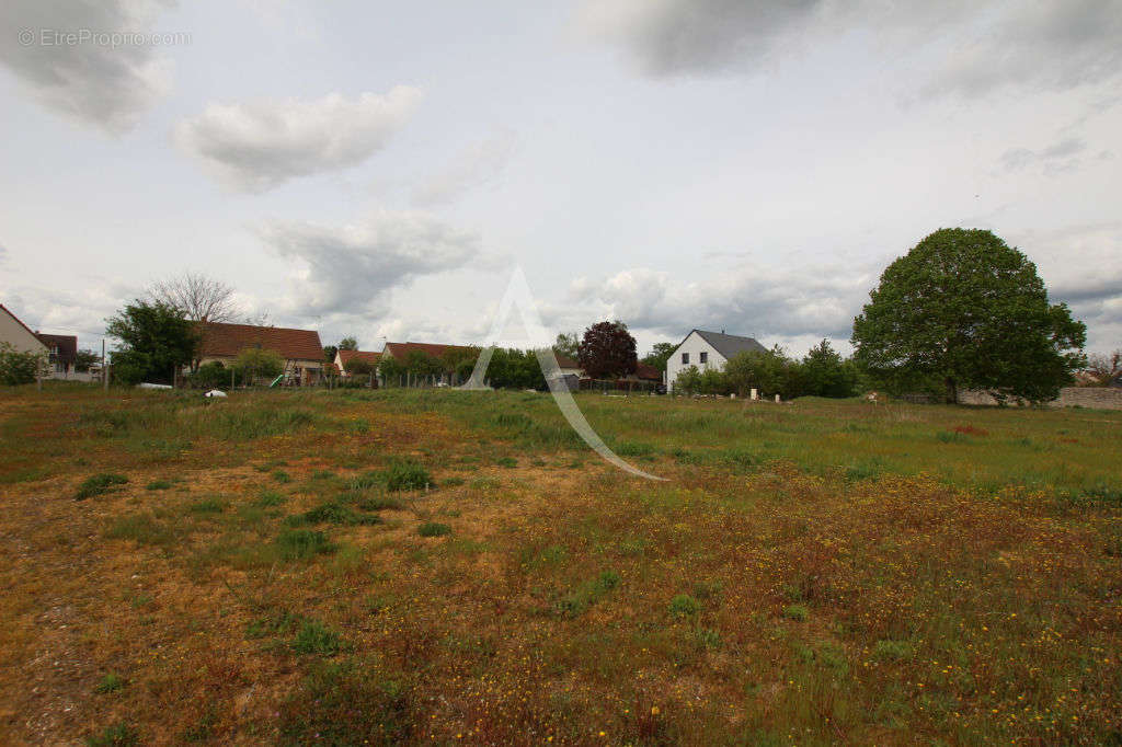 Terrain à HUISSEAU-SUR-COSSON