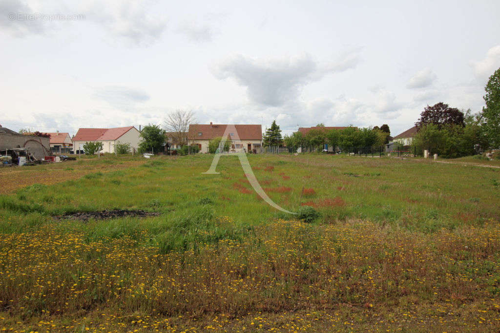 Terrain à HUISSEAU-SUR-COSSON