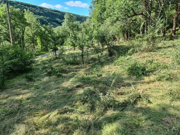 Terrain à SAINT-ANTONIN-NOBLE-VAL