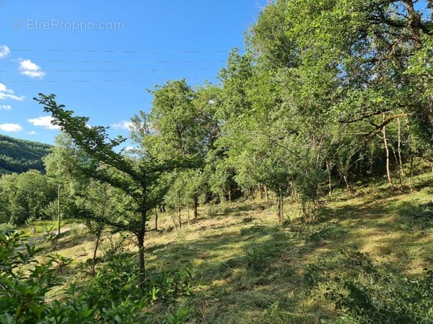 Terrain à SAINT-ANTONIN-NOBLE-VAL