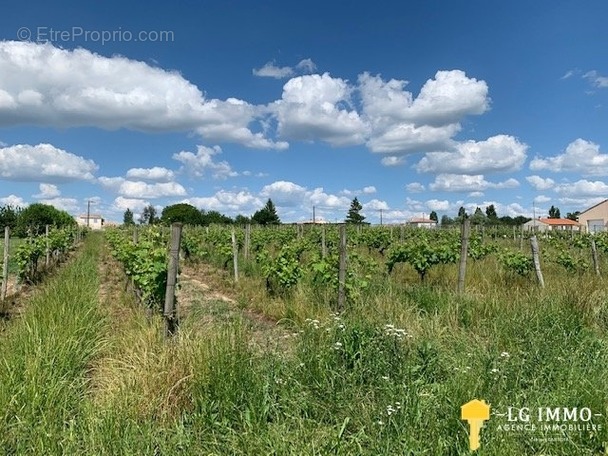 Terrain à SAINT-GENIS-DE-SAINTONGE