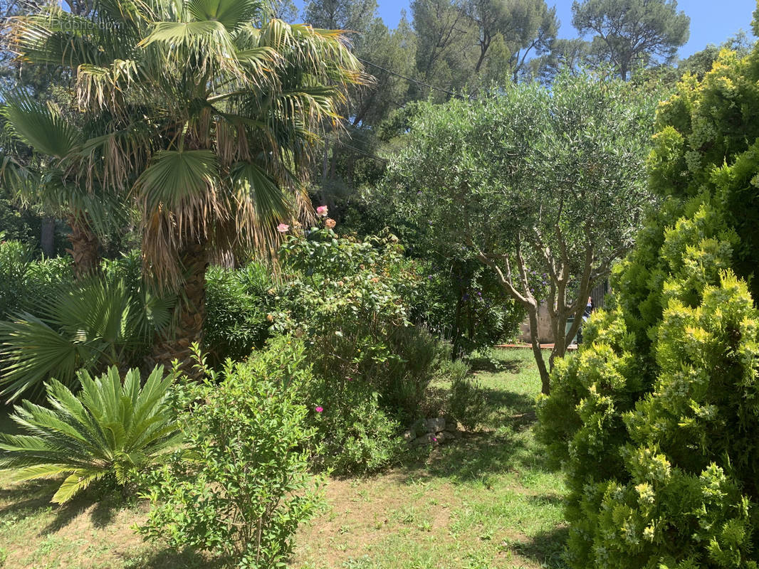 Appartement à LA SEYNE-SUR-MER