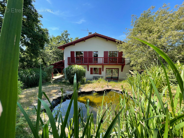 Maison à ARCANGUES