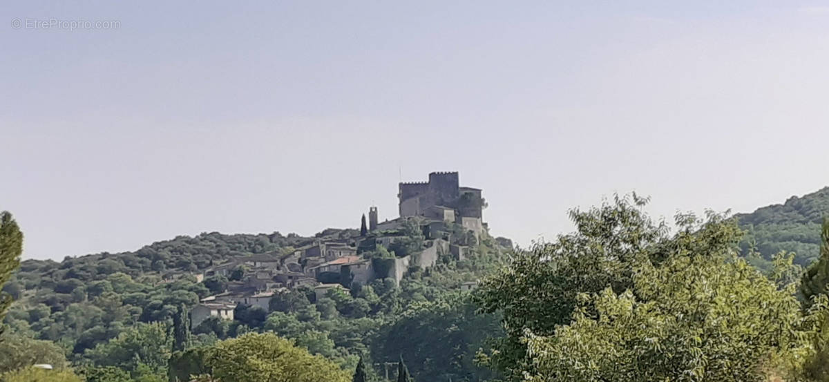 Terrain à BRISSAC