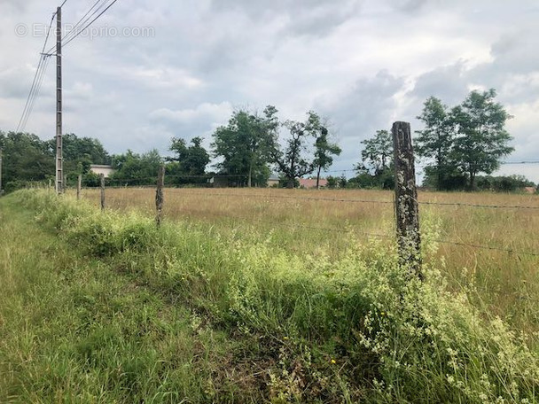 Terrain à CHASSENARD