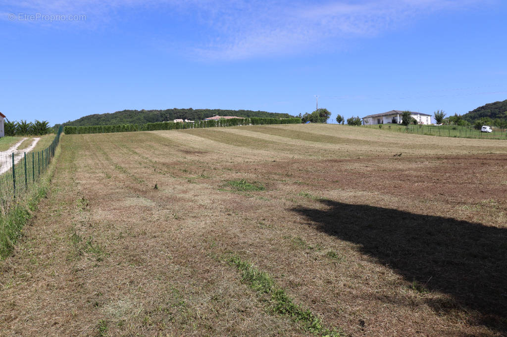 Terrain à DAUSSE