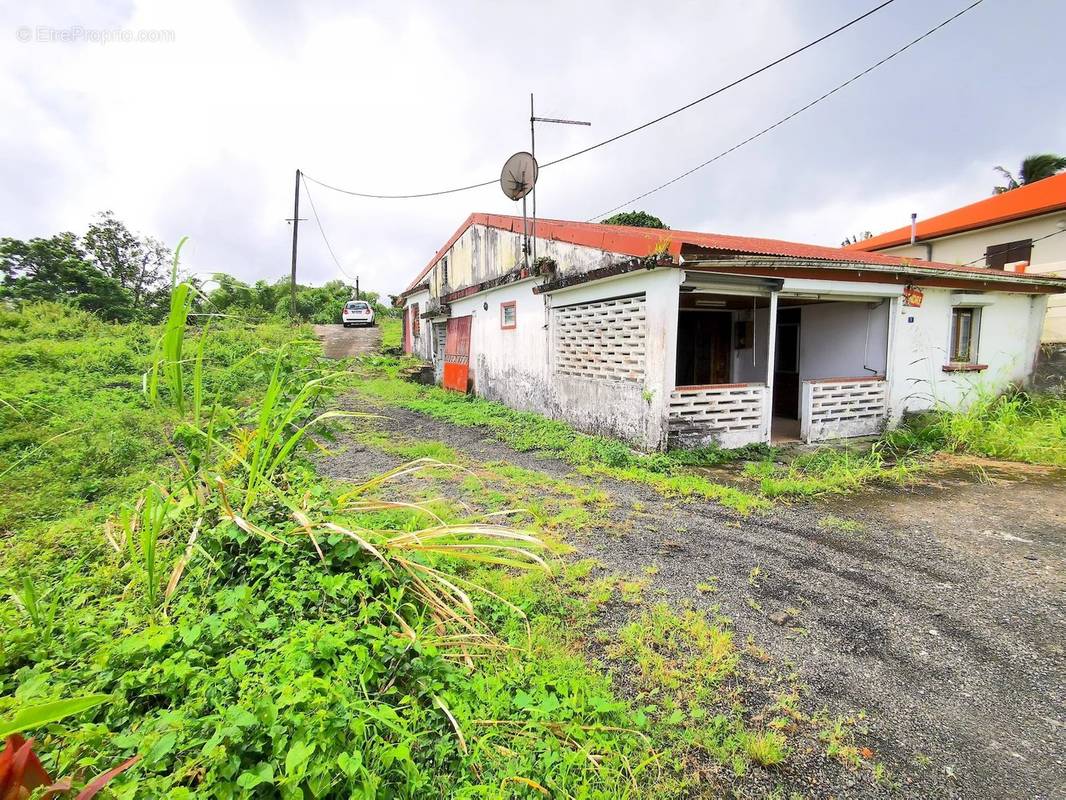 Maison à BASSE-POINTE