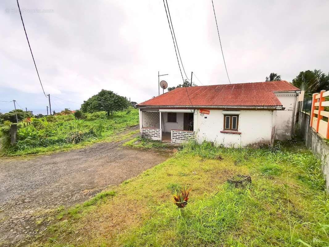 Maison à BASSE-POINTE