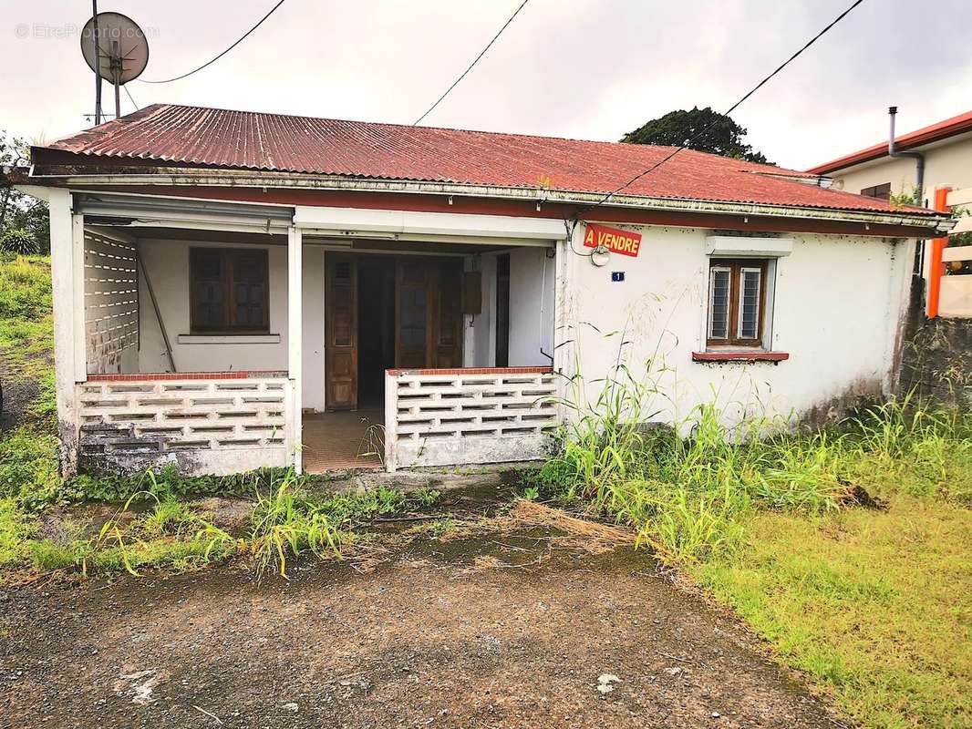 Maison à BASSE-POINTE