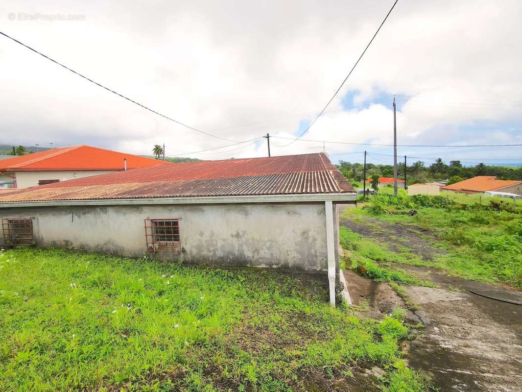 Maison à BASSE-POINTE