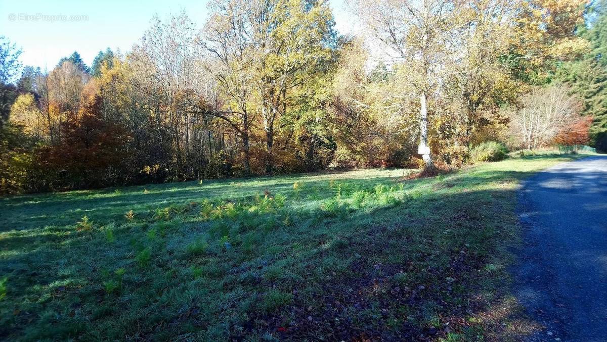 Terrain à ROYERE-DE-VASSIVIERE