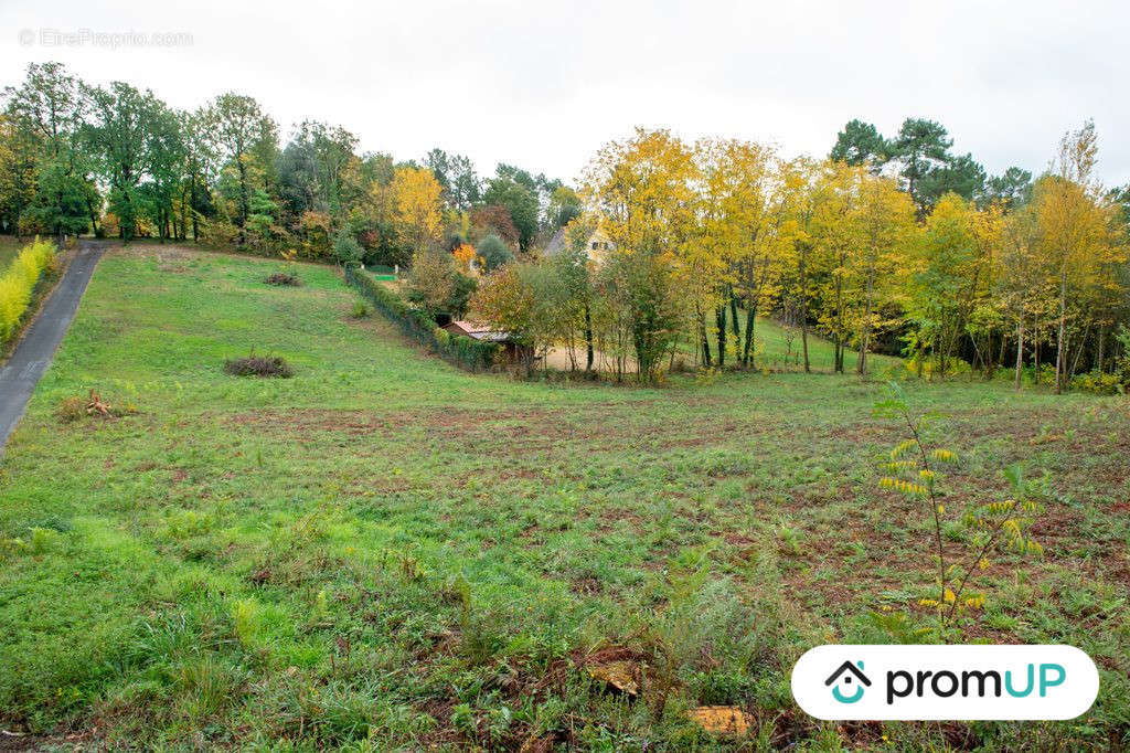 Terrain à SARLAT-LA-CANEDA