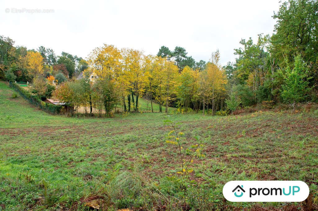 Terrain à SARLAT-LA-CANEDA