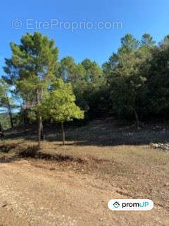 Terrain à DRAGUIGNAN