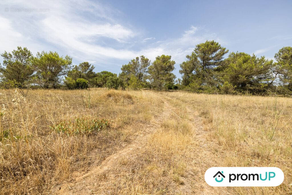 Terrain à MALVES-EN-MINERVOIS